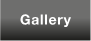 Gallery1a